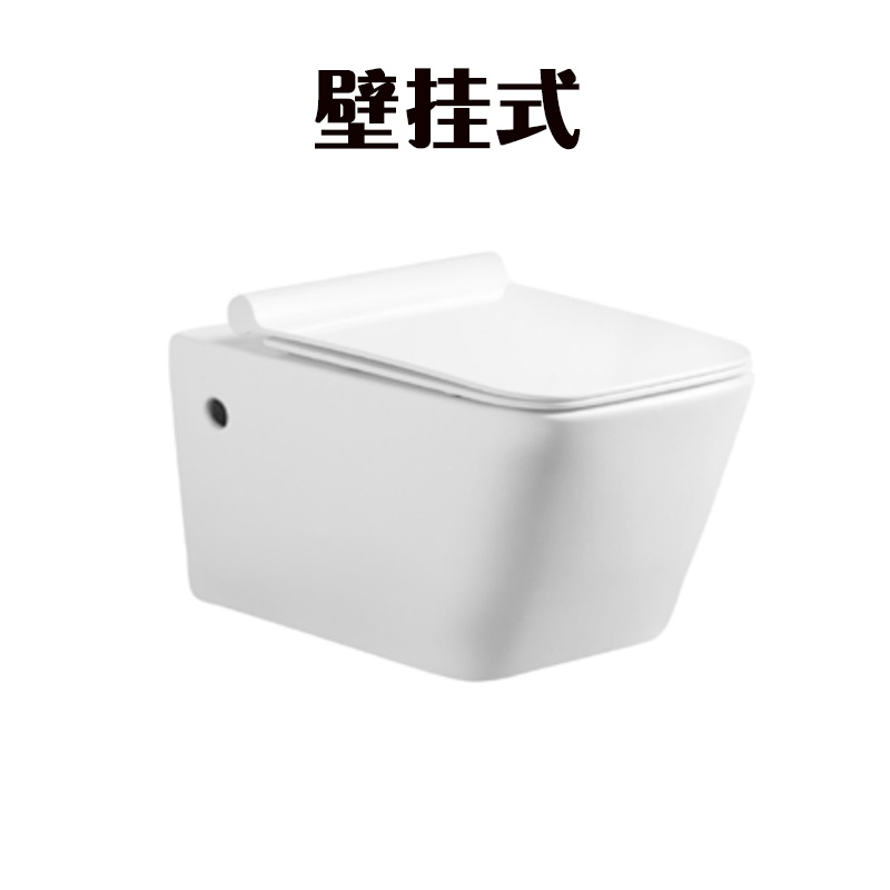 BL103N-WHT 2